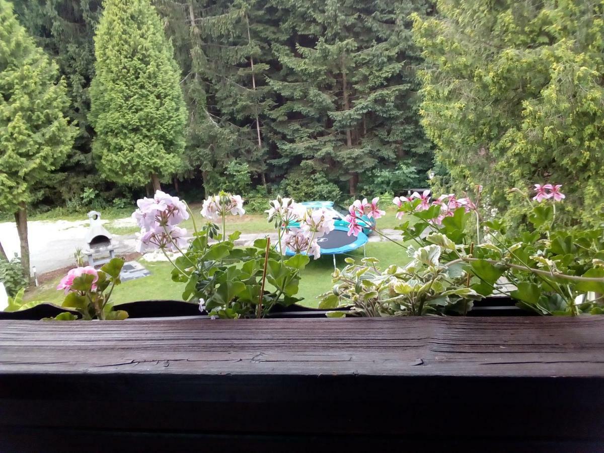 Pension Villa Louise Sankt Kanzian am Klopeiner See Buitenkant foto