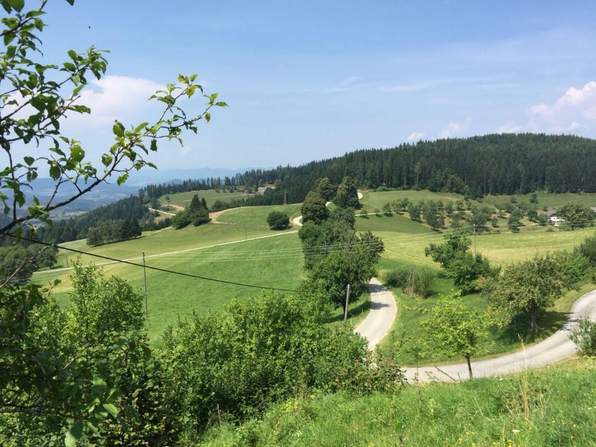 Pension Villa Louise Sankt Kanzian am Klopeiner See Buitenkant foto